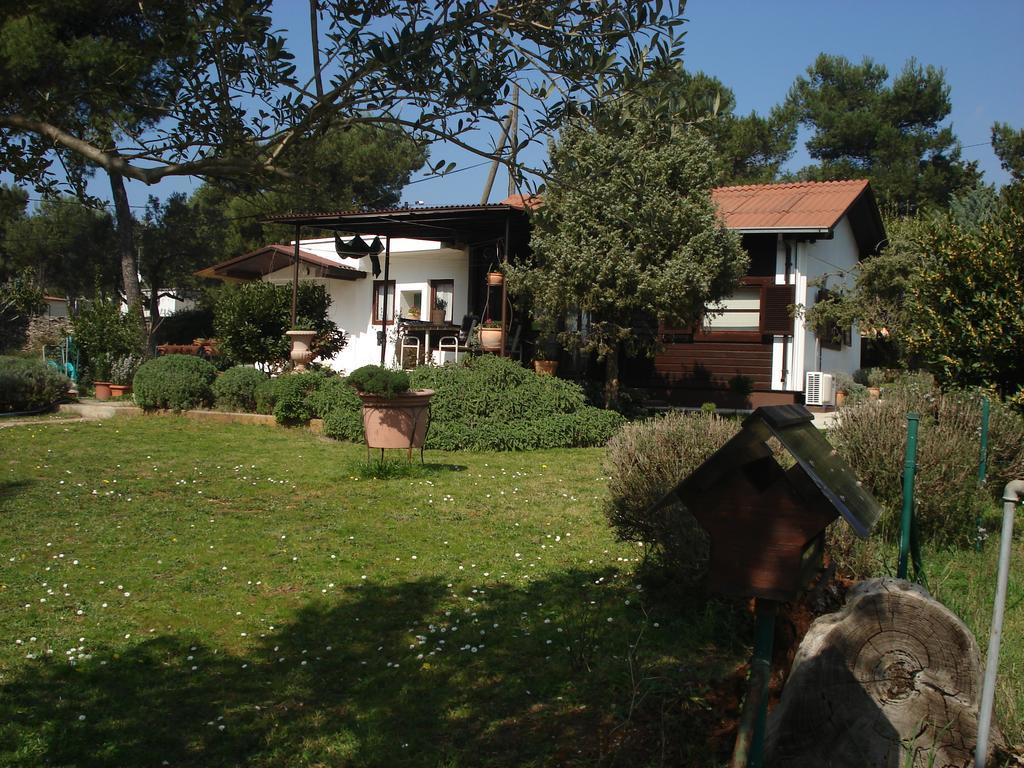 Holiday Home Julia Banjole Exterior foto